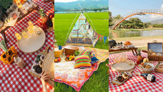 How To Prepare For A Boho Picnic For Spring 2024